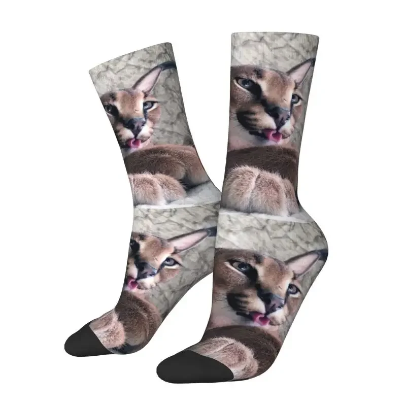 Fun Print Cute Caracal Cat Socks for Men Women Stretchy Summer Autumn Winter Big Floppa Meme Crew Socks