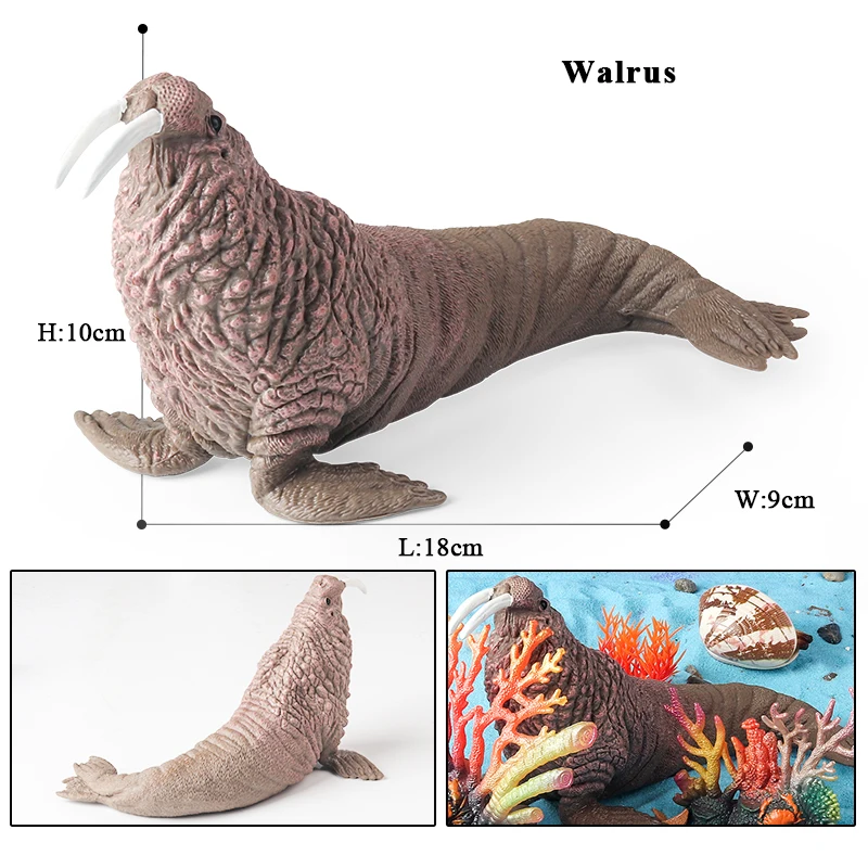 Oenux New Sea Life Seal Sea lion Orcas Blue Whale Shark Megalodon Dolphin Aquarium Ocean Marine Animals Model Kids Toy Gift