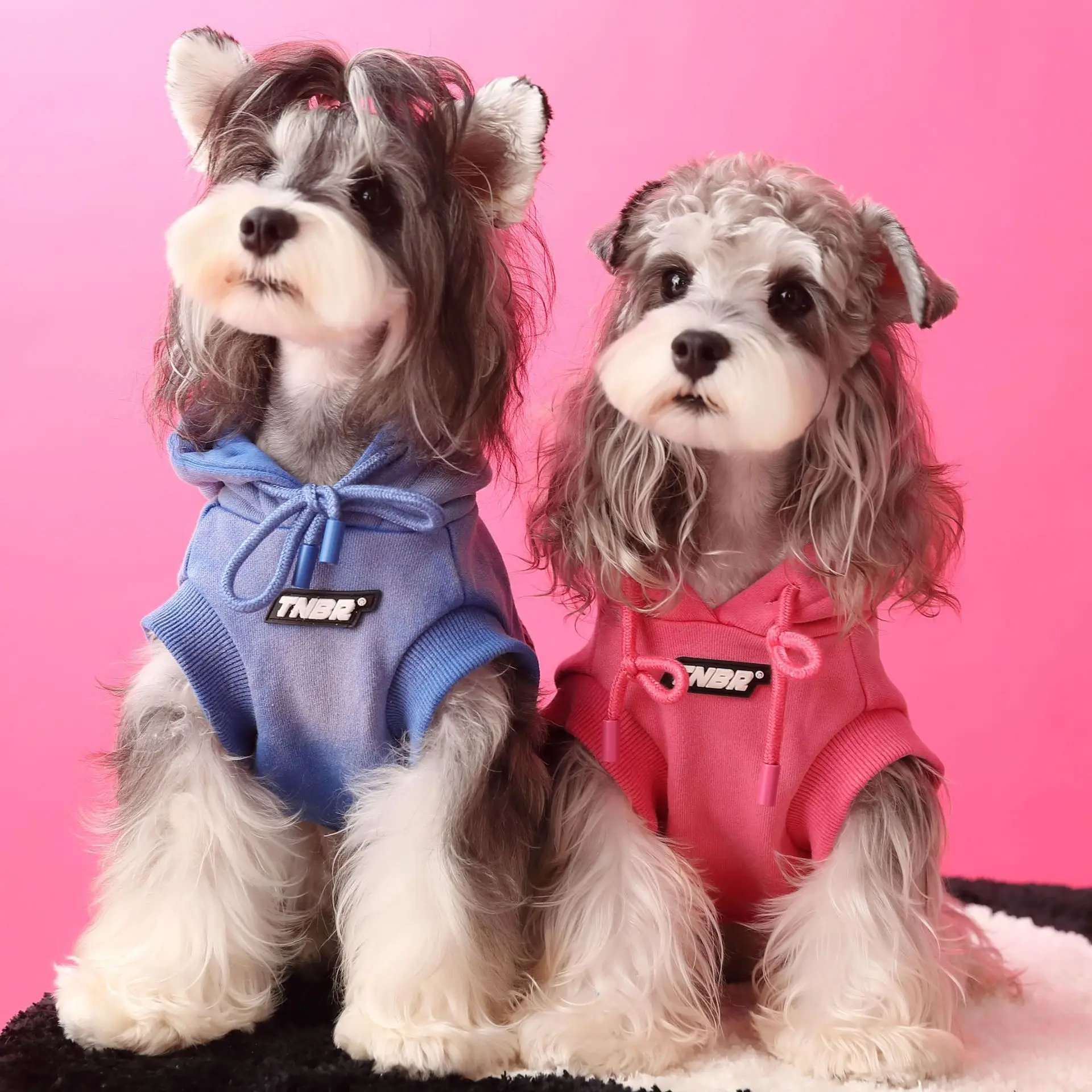 Dog Clothes Spring Autumn Schnauzer Bears Teddy Shiba Dog Printed Letter Gradient Sleeveless Pet Hoodie 강아지옷 одежда для собак