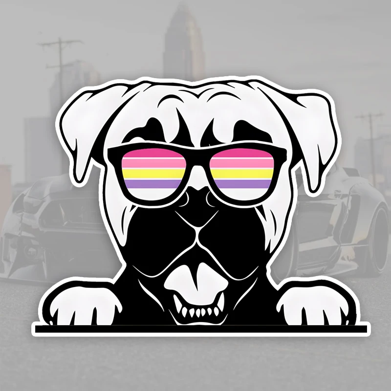 DK323# Cool Boxer Dog Car Stickers Funny Creative Waterproof Vinyl Decal Motorcycle Decorative Accessories