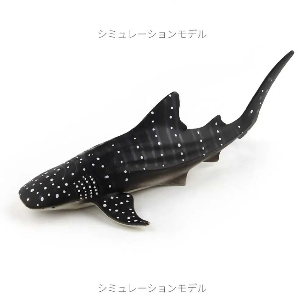 シミュレーション海洋動物モデル 海洋生物 水中生物 クジラのフィギュア 教育用 ソリッドPVC 海洋生物フィギュア