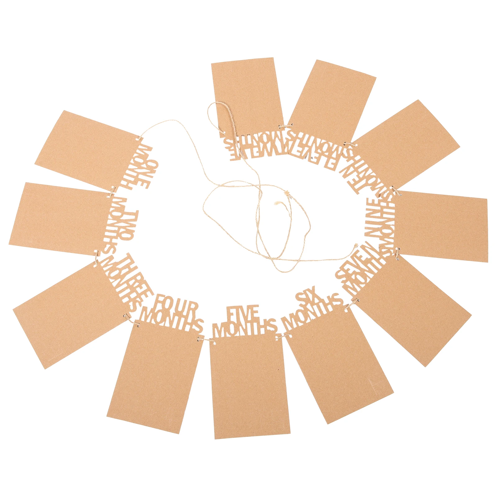 

Football Theme Photo Bunting Banner Baby Birthday Monthly Milestone Flag Garland Party Decoration for 1st Birthday Celebration