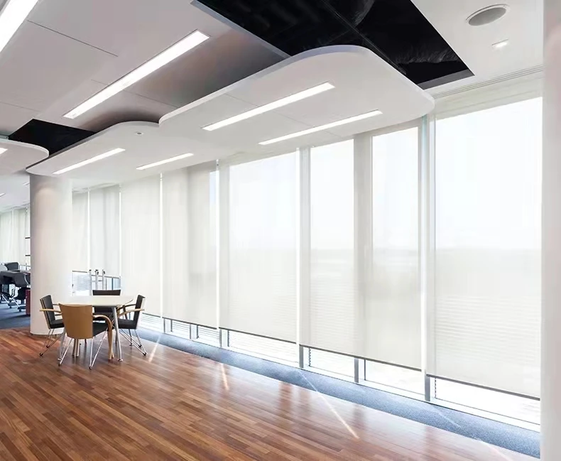 Custom-made Sunroad Manual Roller Shades with Top & Bottom Guide Rails ,Semi/Full Blackout Curtains for Bedroom & Living Room