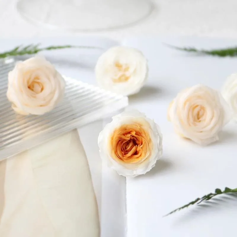 

A-ade Dried Flowers 23cm Rose Austin Cisas Mother's Day Gift Materials Luy Ornamental Home Decor Handmade Crt