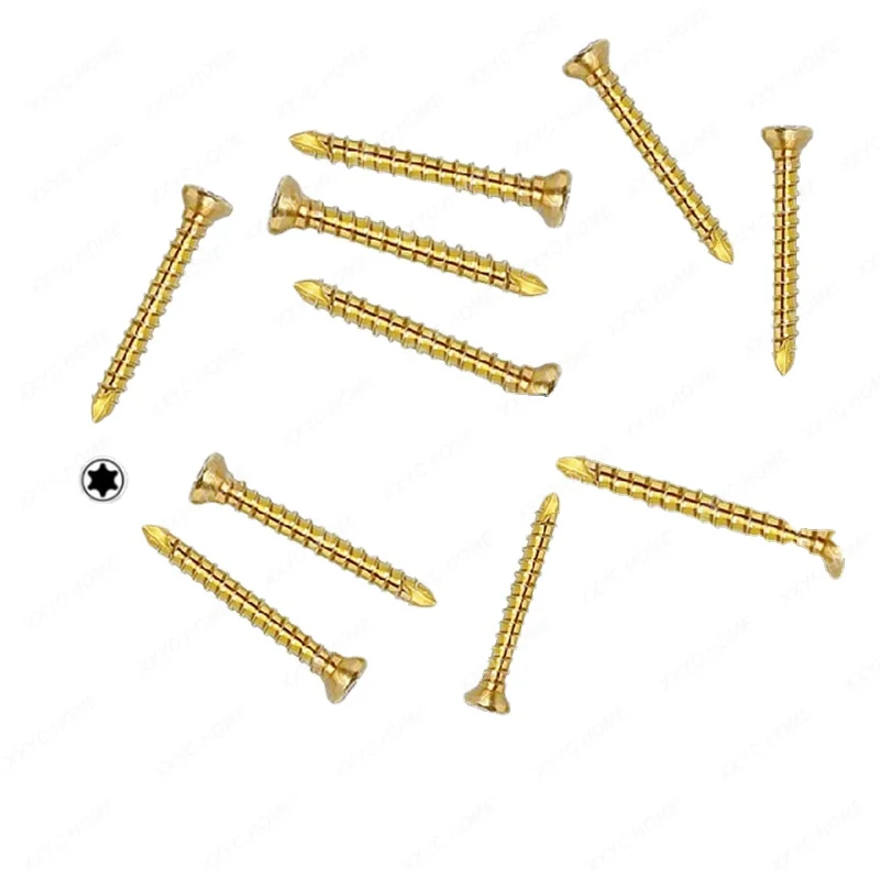 

Alps Medium 2.4mm Titanium Alloy Cortical Bone Self-Tapping Screw T10 Plum Screw Animal Pet Titanium Skin Nail veterinary