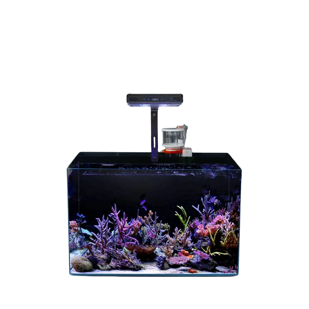 Wholesale Marine Aquarium Desktop Ultra White Glass Saltwater Aquarium Fish Tank With Filter And Skimmer