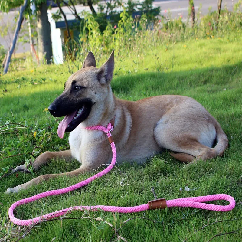 Dog Leash 6 FT Heavy Duty Dog Leash Durable Premium Quality Training Dog Leash No Pull Slip Lead Leashes for Medium Large Dogs