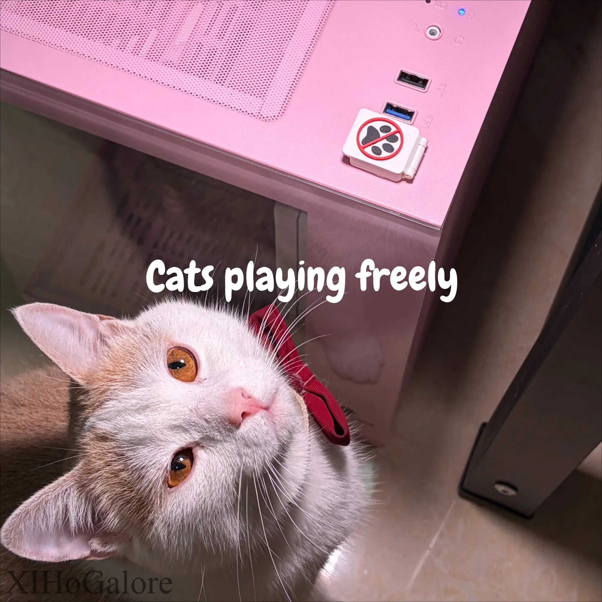 XIHoGalore 3D Printed Pet Proof Power Button Cover Prevents Cats Dogs From Accidentally Pressing Computer Host Switch Guard Cap