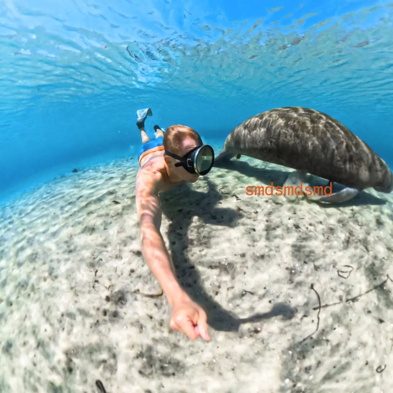 60M Waterproof Case for Insta360 X5  Clear Plastic Underwater Diving Housing Cover Action Camera Protective Accessories