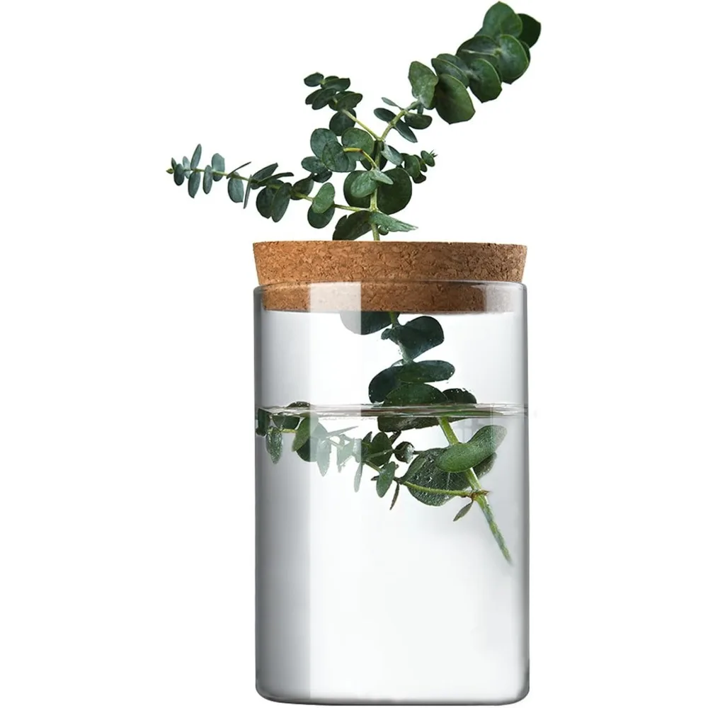 

Clear Glass Planter Vase with Wooden Lid and Bamboo Stand for Hydroponic Plants, Succulents, Cut Flowers Gifts for Women Mom Pla