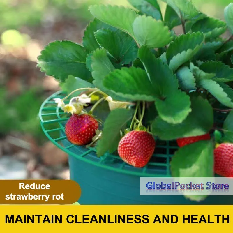 [TG823]Strawberry Plant Support Stand With Legs, Plastic Round Growing Rack To Keep Berries Clean & Prevent Rot