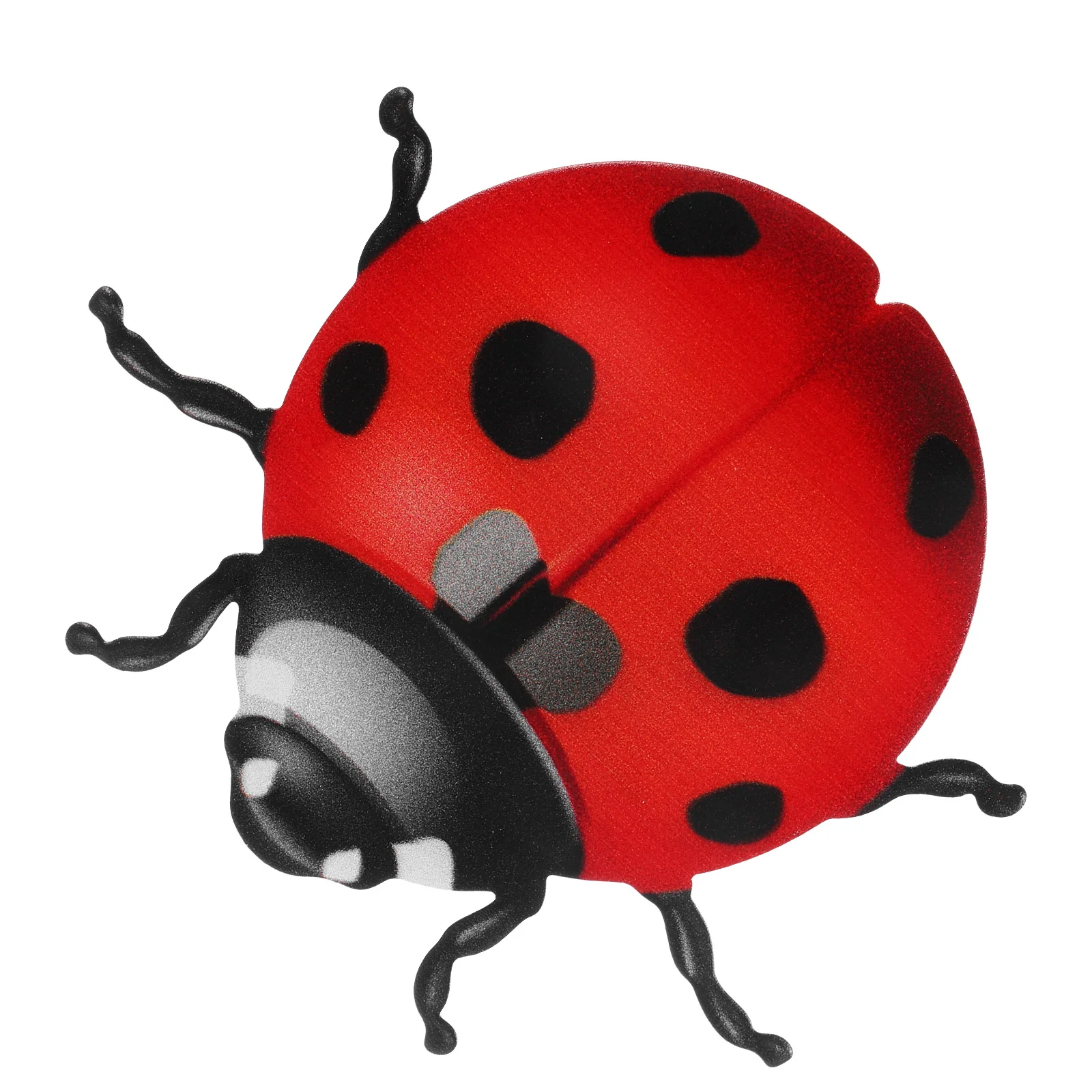 Iron Beetle Metal Ladybugs Wall Decor Ornament Rustic Outdoor Decorations Garden Sculpture Miss Embellishments for Crafts