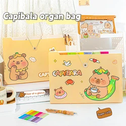 A4 Data Classification Folder Kawaii Student Large Capacity Accordion Bag School Test Paper Storage Book School Stationery