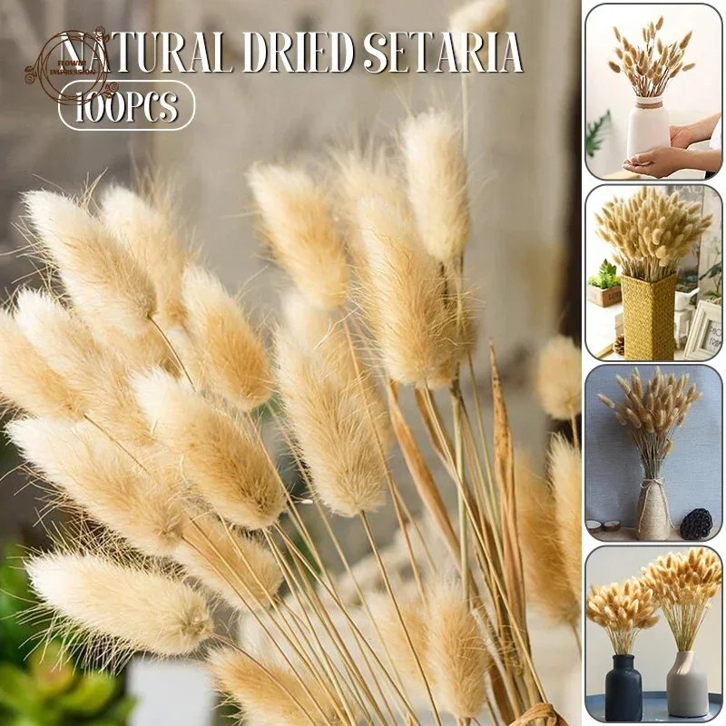 

100PCS Natural Bunny Tail Grass Dried Flowers Boho Decor Party Supplies Flower Arrangement Wedding Decoration Artificial Plants