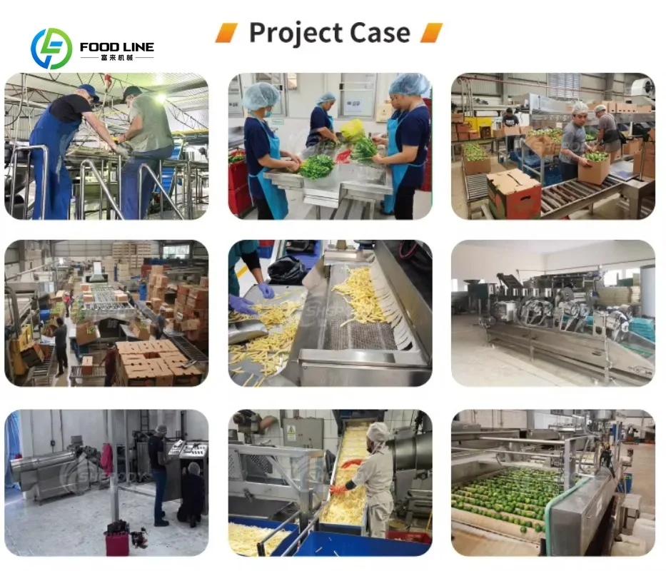 Continuous Gas Type Chicken Broasted Meat Deep Fryer Machine for Sal