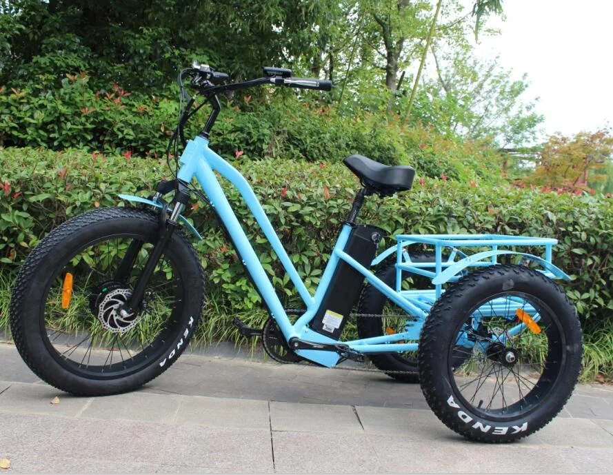 China Factory Supply OEM Fat Tire 3 Räder Elektrofahrräder 48V 500W BAFANG Motor Cargo E Dreirad