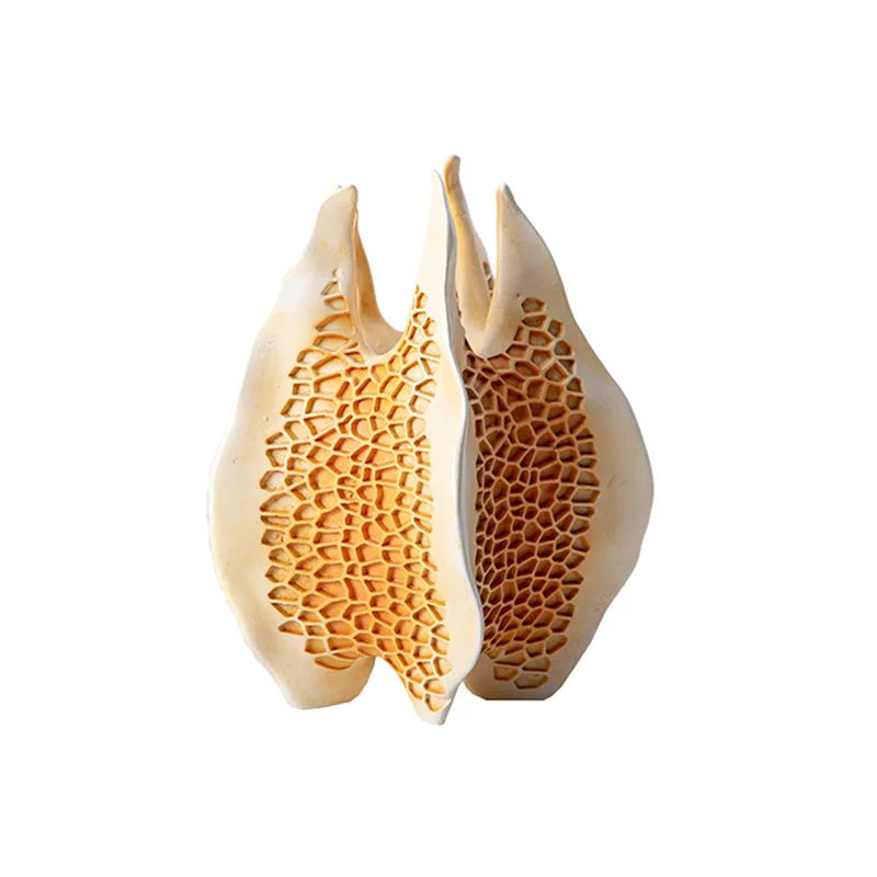 

Special-shaped creative decorations, resin handicraft ornaments, modern minimalist side cabinets, living room combination