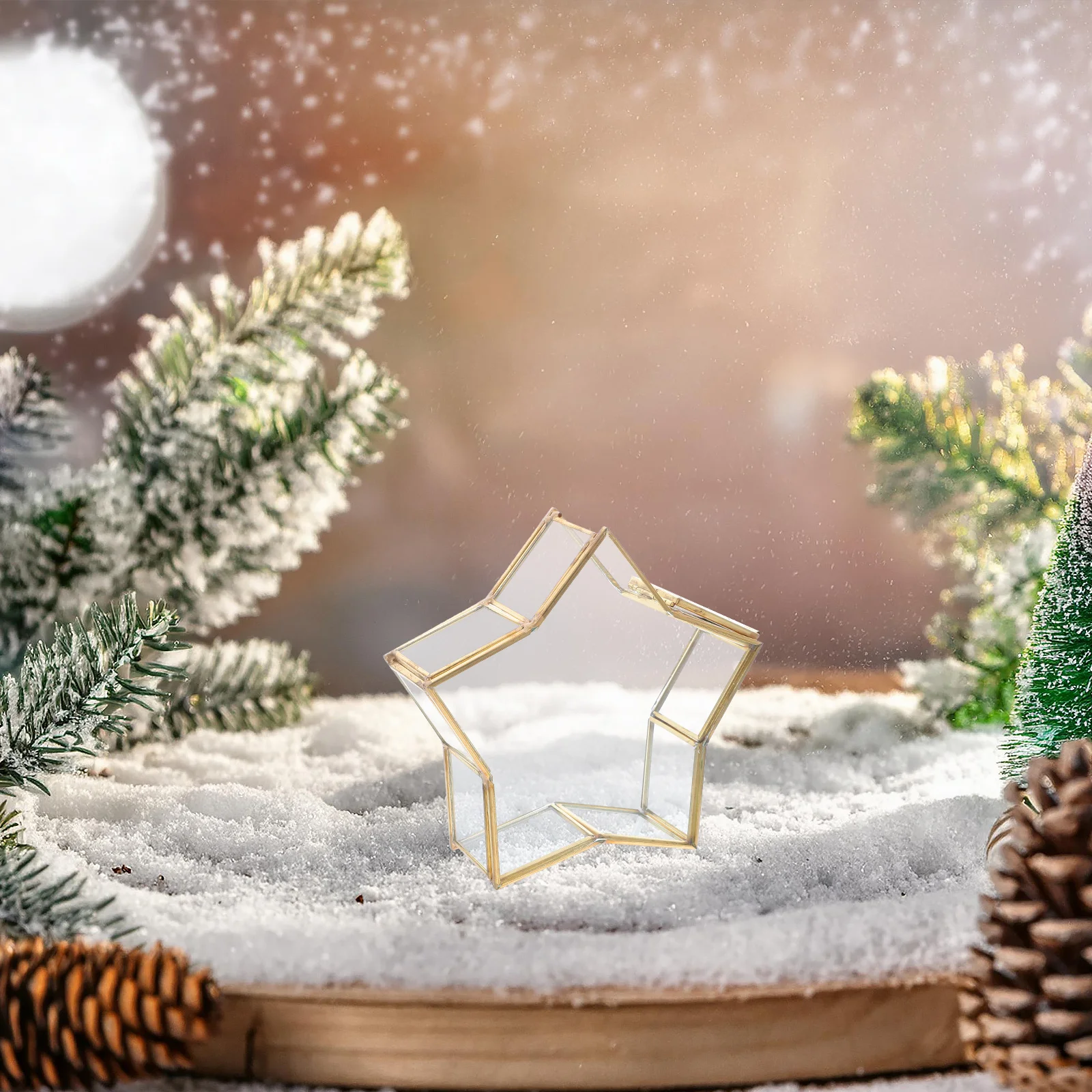 

Small Glass Unique Wish Bottle Five-Pointed Star Decorative Storage Box Preserved Flower Packaging Birthday Gift Case