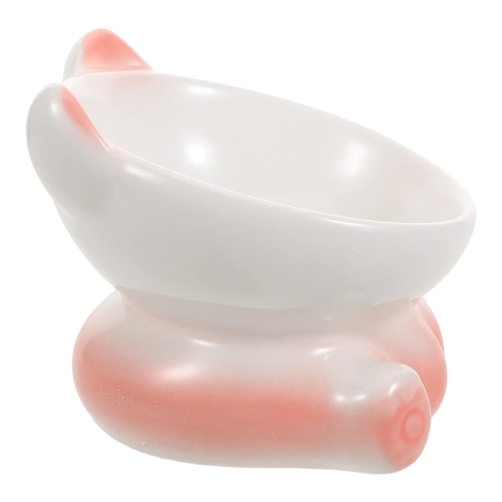 Elevated Ceramic Pet Bowl for Cats and Small Dogs - Raised Non-Slip Feeding Dish with Tilted Design for Better Digestion Home