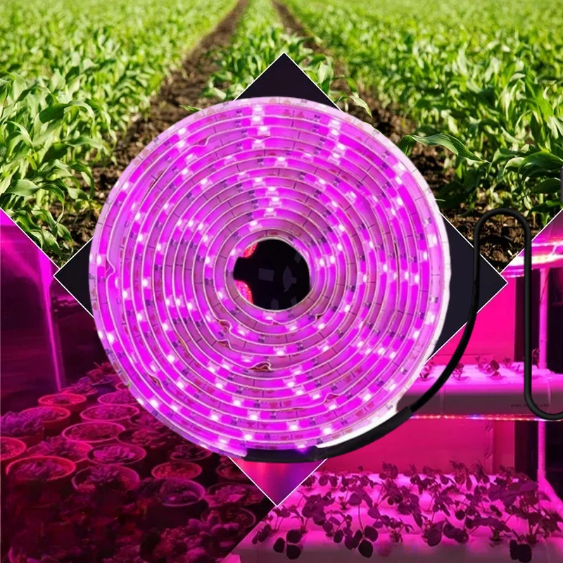 Bande lumineuse LED pour plantes horticoles, lampe d'intérieur, lampe UV, USB, 5V, bande de croissance, éclairage hydroponique, pièces Phyto Lauren