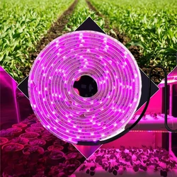 Lampada da interno a luce vegetale a Led Uv USB 5v Grow Strip luci orticole piante illuminazione idroponica Phytolamp Phyto Growing Parts