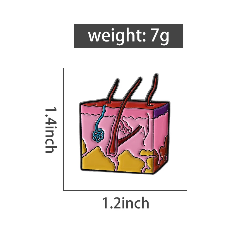 الجلد الجلد المينا دبابيس التشريح ودبابيس الخلية على ظهره شارات التلبيب هدايا مجوهرات مضحكة لعالم الطبيب