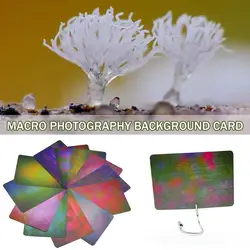 12Pcs Macro Photography Background Card For Ecological Photography Blurry Background Macro Photography Of Flowers And Insect