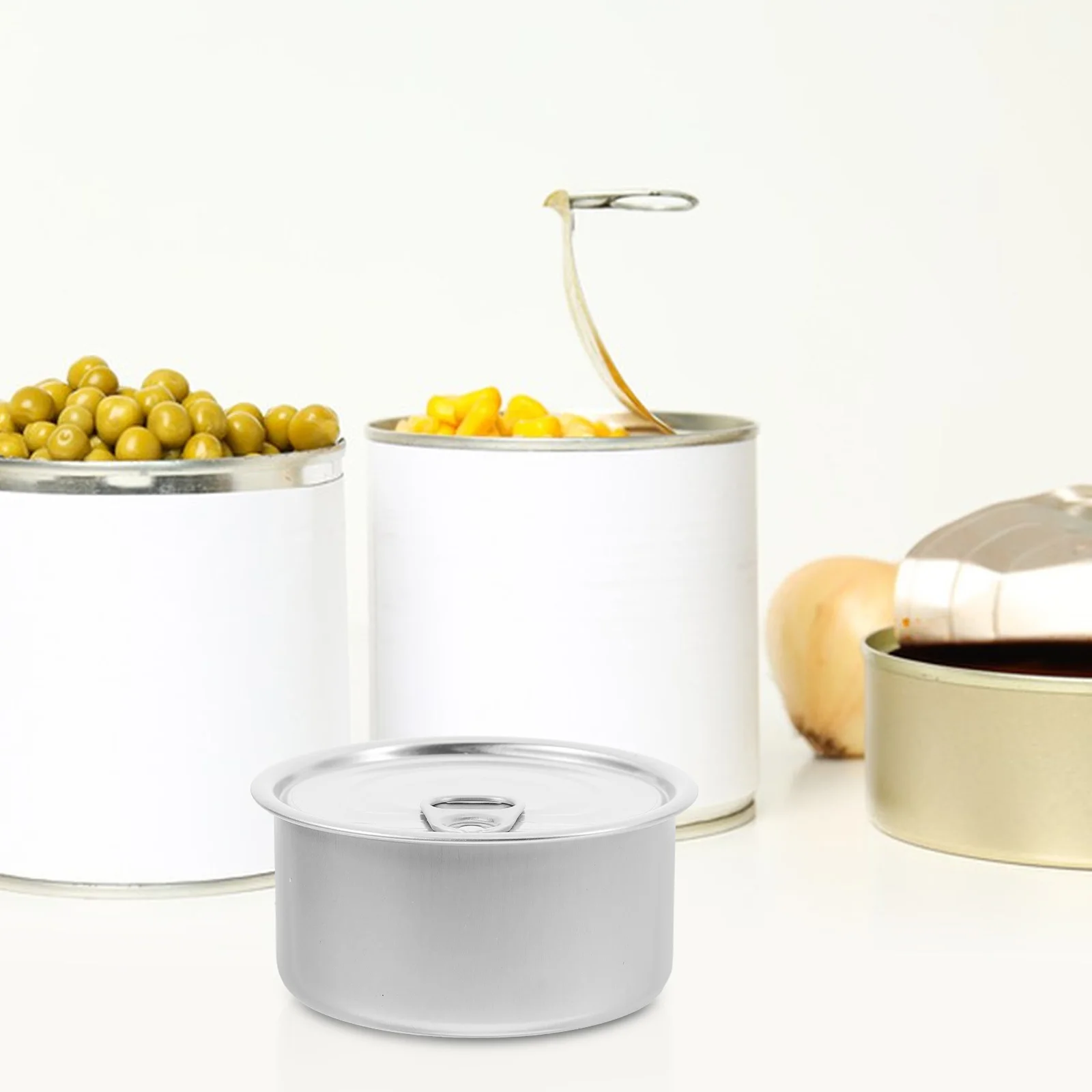 

10 Pcs Cans Empty Food Storage Container Tin Tea with Lids Coffee Pet Holiday Cookie Convenient