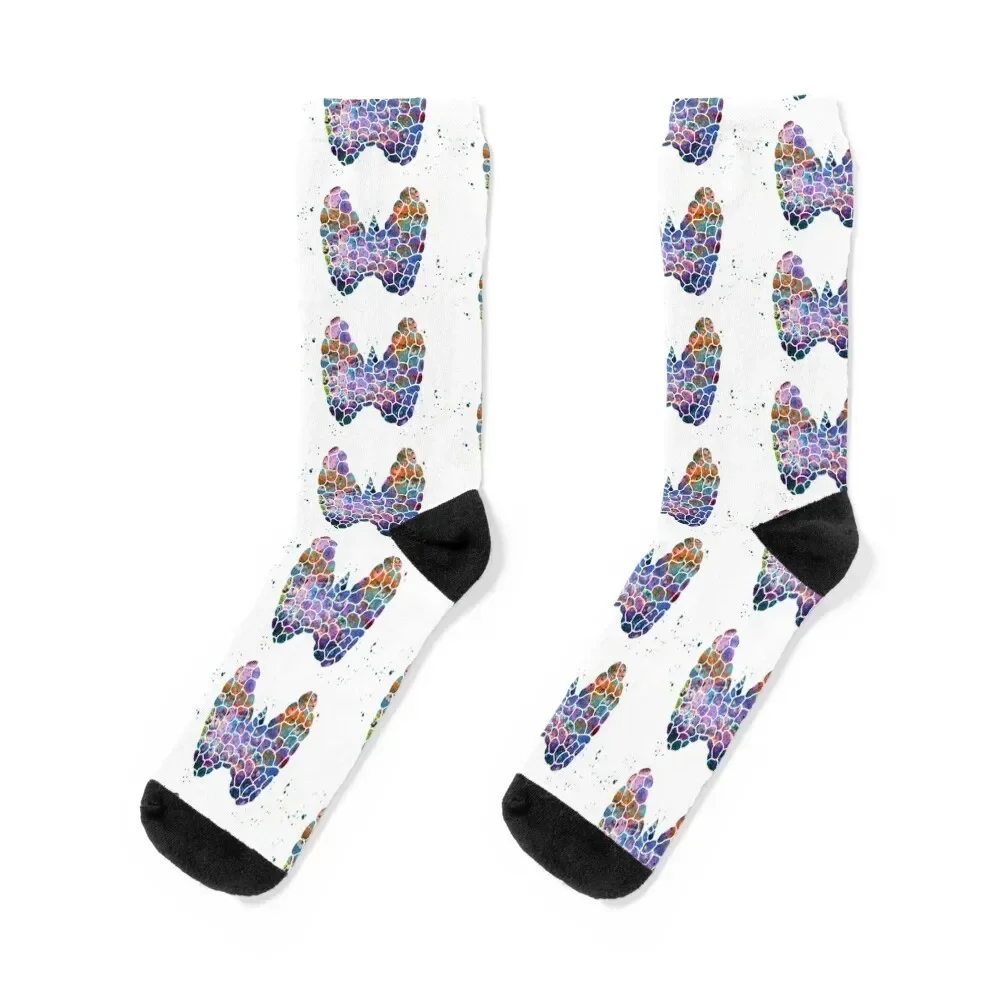 

Thyroid Gland Structural Scheme Anatomy Socks funny sock Wholesale funny gift hiphop Man Socks Women's