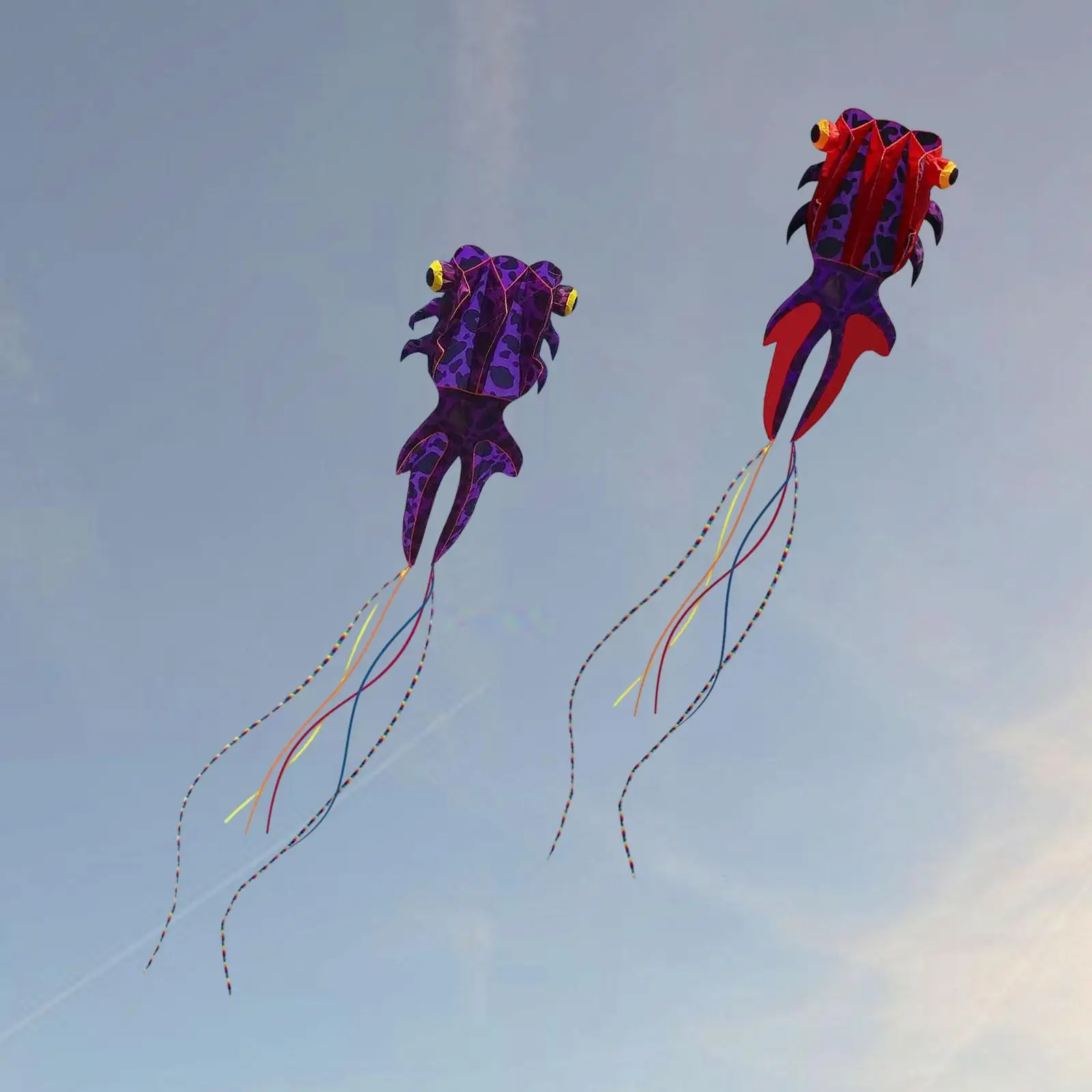 

Goldfish Large Kite Easy to Fly Giant Kite for Beach Amusement Park Children