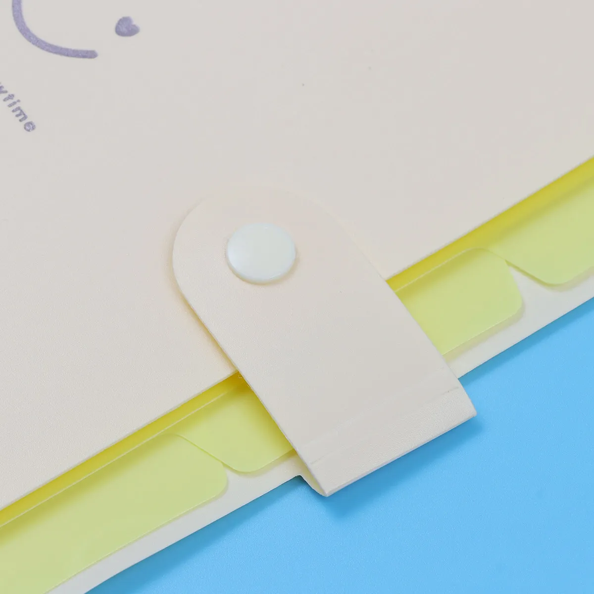 

5 Pockets File Folder Plastic Expanding Organizer Snap Button Closure Accordion Folder A4 Letter Size Document Storage for Work