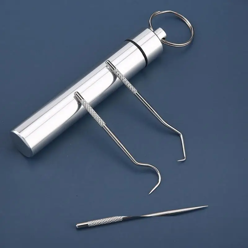 Zahnstocher-Set aus Edelstahl, wiederverwendbare tragbare Zahnstocher, Zahnseide, Zahnreiniger, Mundreinigungswerkzeug für Zuhause und auf Reisen