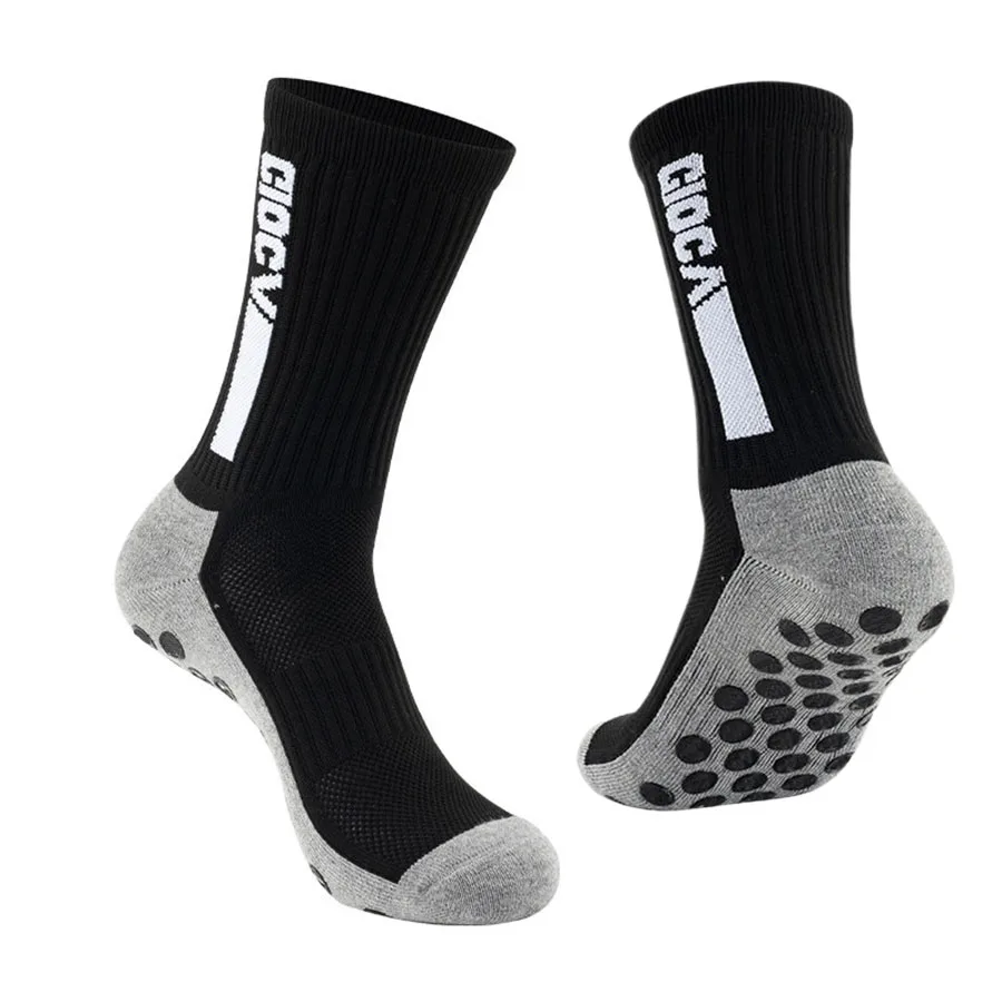1pairs-C0242-htrg