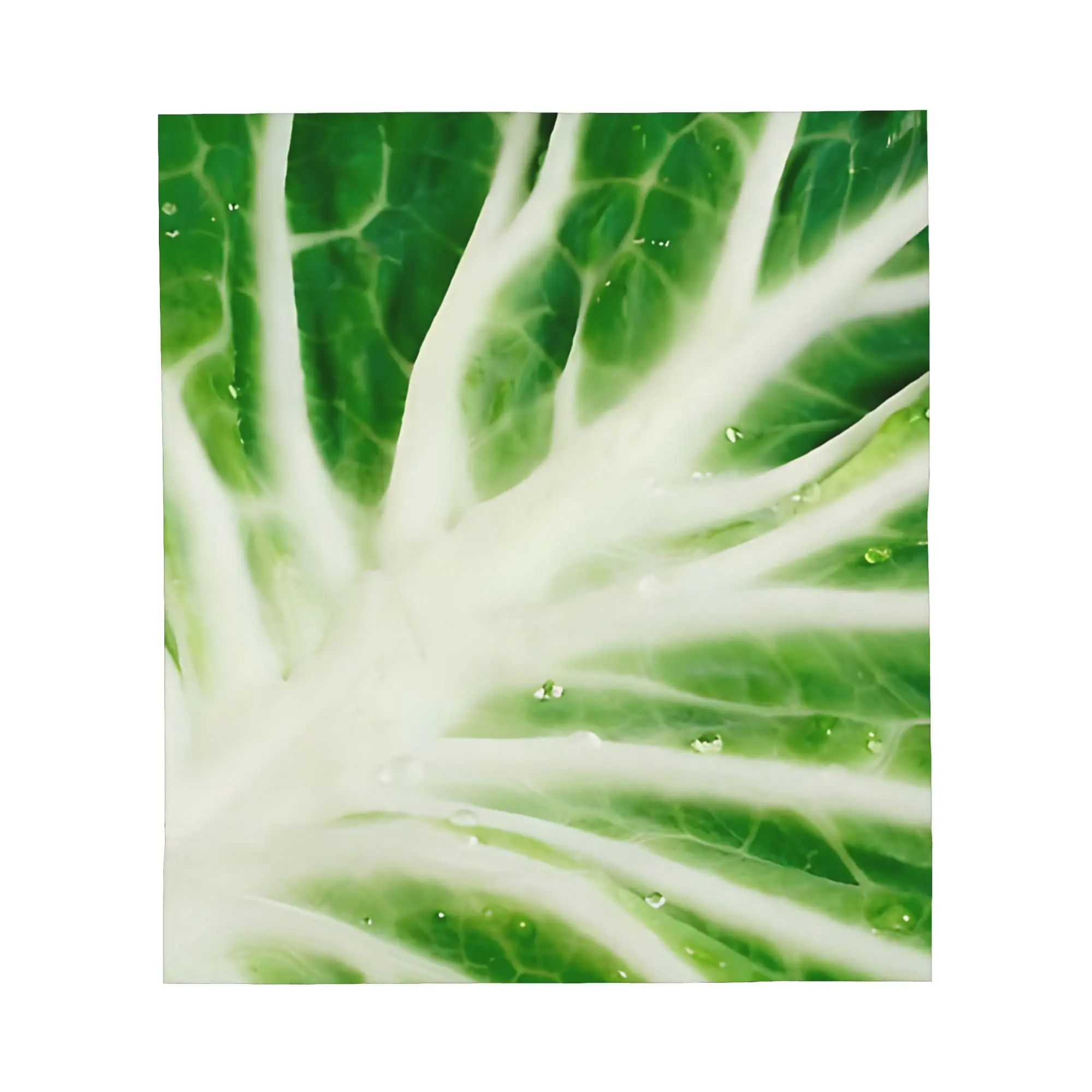 1PC Cabbage Leaf Blanket Throw Blanket Novelty Warm Blanket All Season Gift
