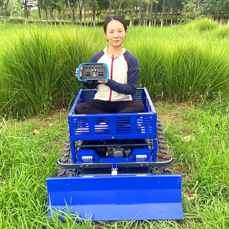 

Customized Ce certified engine, small tracked remote-controlled robot, lawn mower, orchard