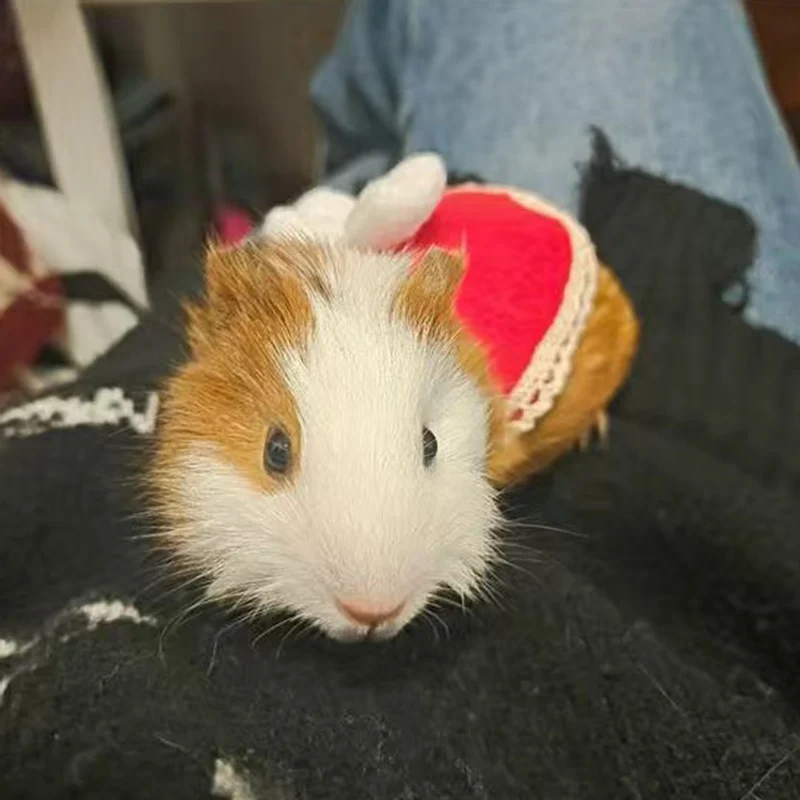 Mini Dresses and Hat for Hamster Winter Warm Fleece Pet Clothes for Small Animals Bunny Rat Guinea Pig Hamster Clothing