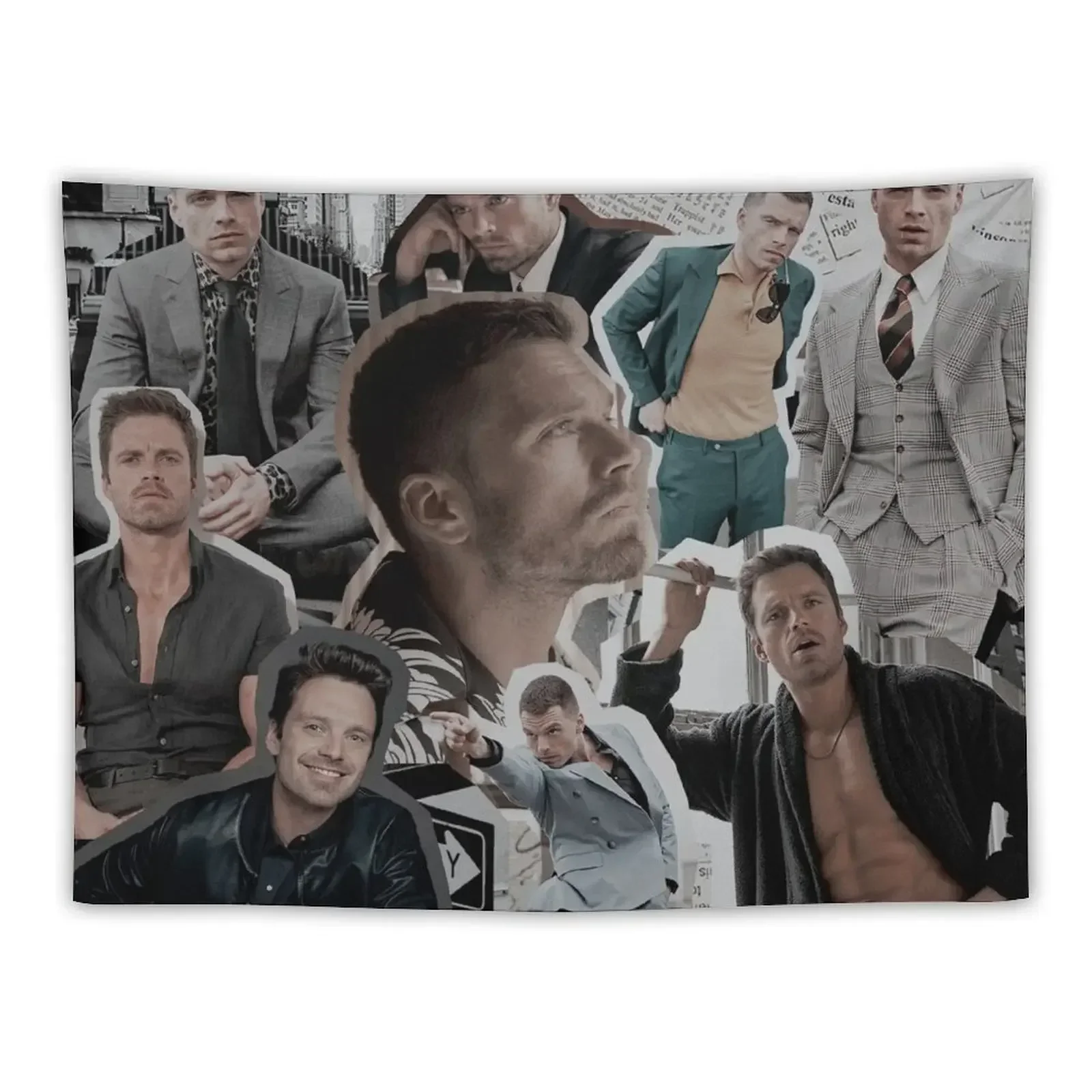 

sebastian stan Tapestry Room Decoration Aesthetic Room Aesthetic Decor Tapestry