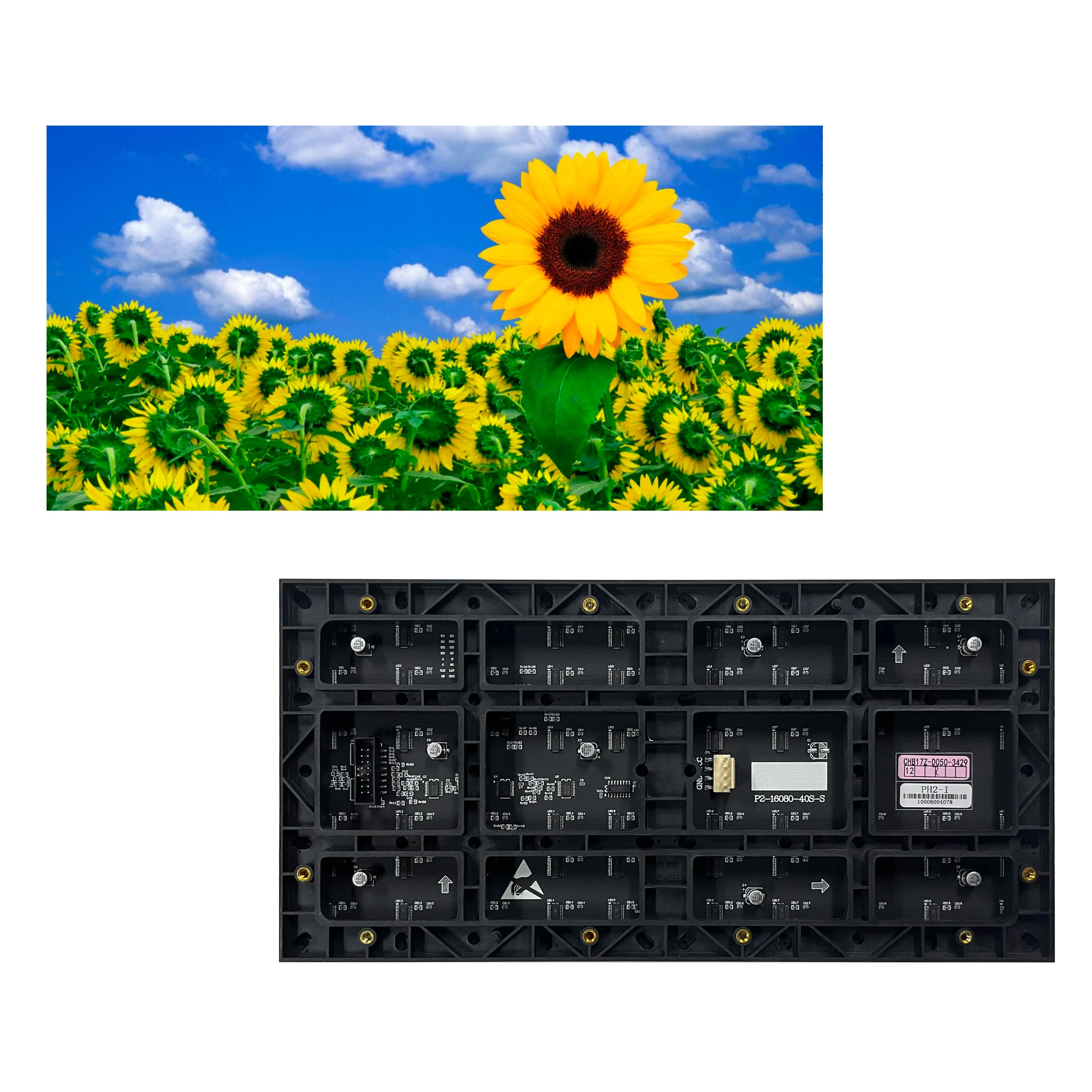 P2 Indoor LED Display Module 320*160mm RGB Color 1920Hz 600Nits Contrast HUB75E for Conference Rental Screen