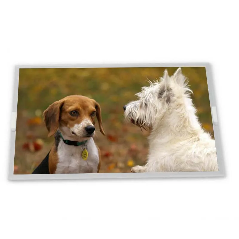 G084SN05 V.7 V7 8.4…