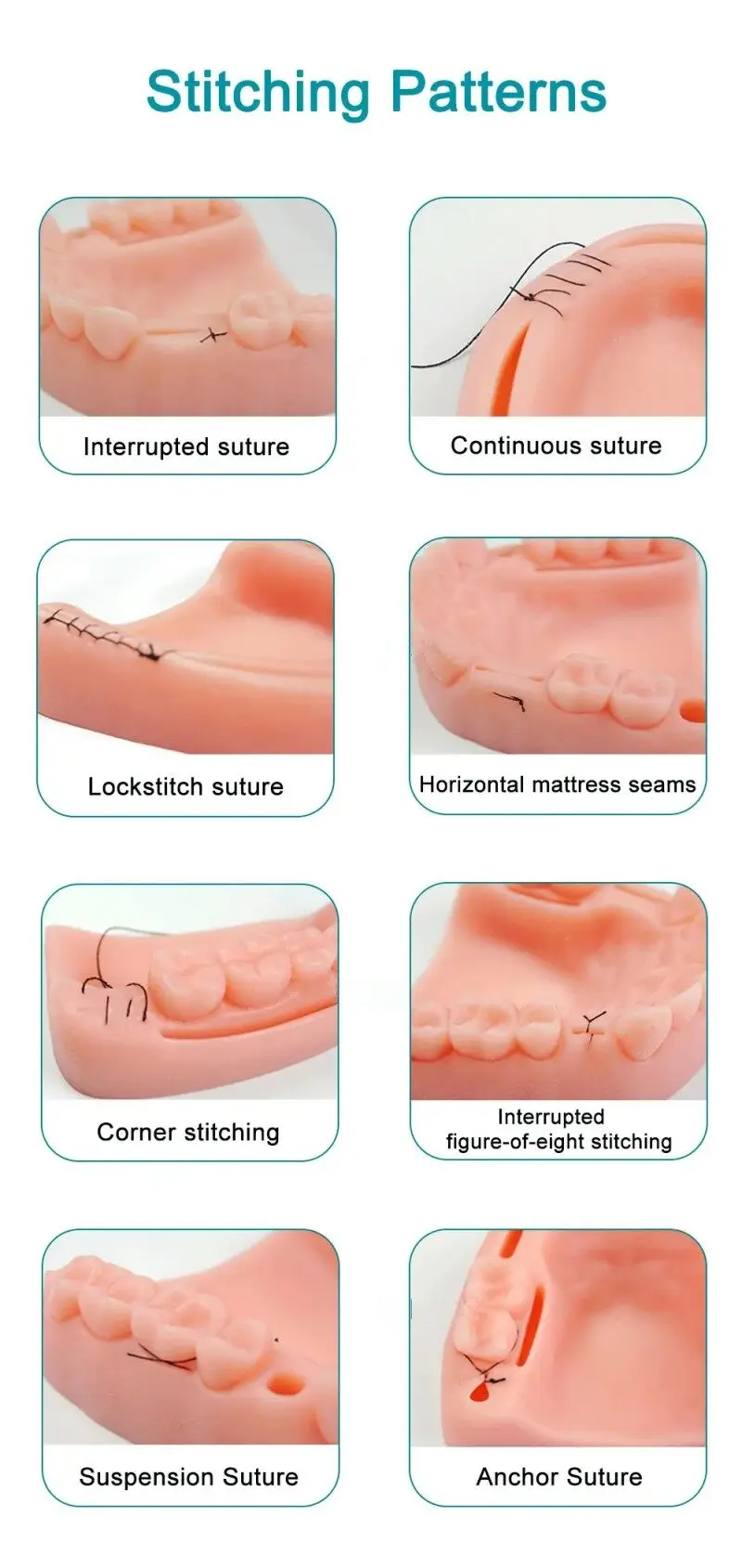 Dental Oral/Zahnfleisch Naht Modul Parodontitis Naht Silikon Training Modell Chirurgische Praxis Naht Lehre Praxis Werkzeug – Detail 5