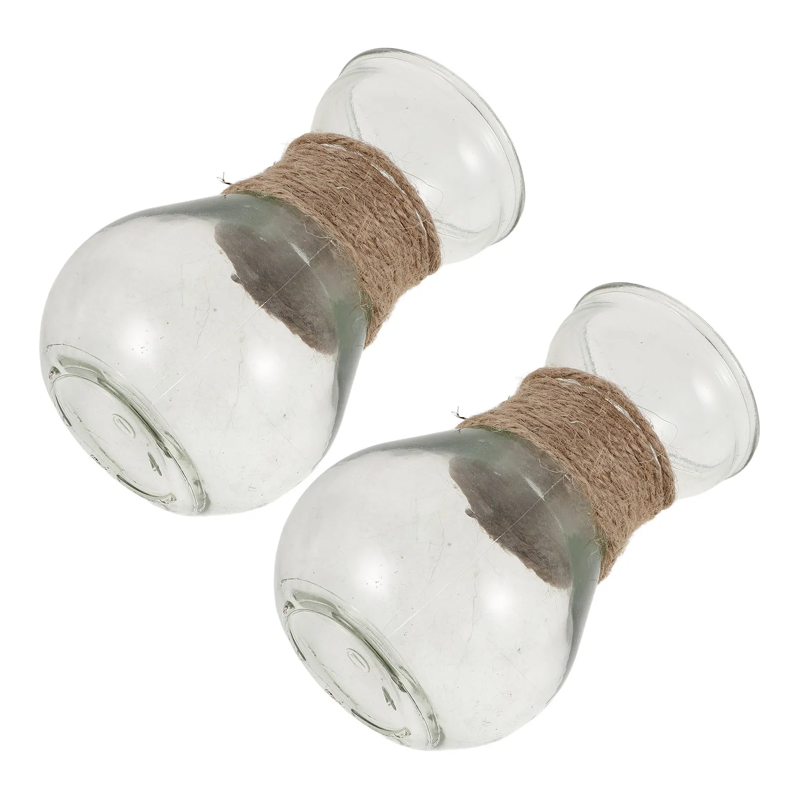 2Pcs Clear Bulb Glass Plant Vases Transparent Hydroponic Vase for Home Office Table Decoration Floral Propagation Planter
