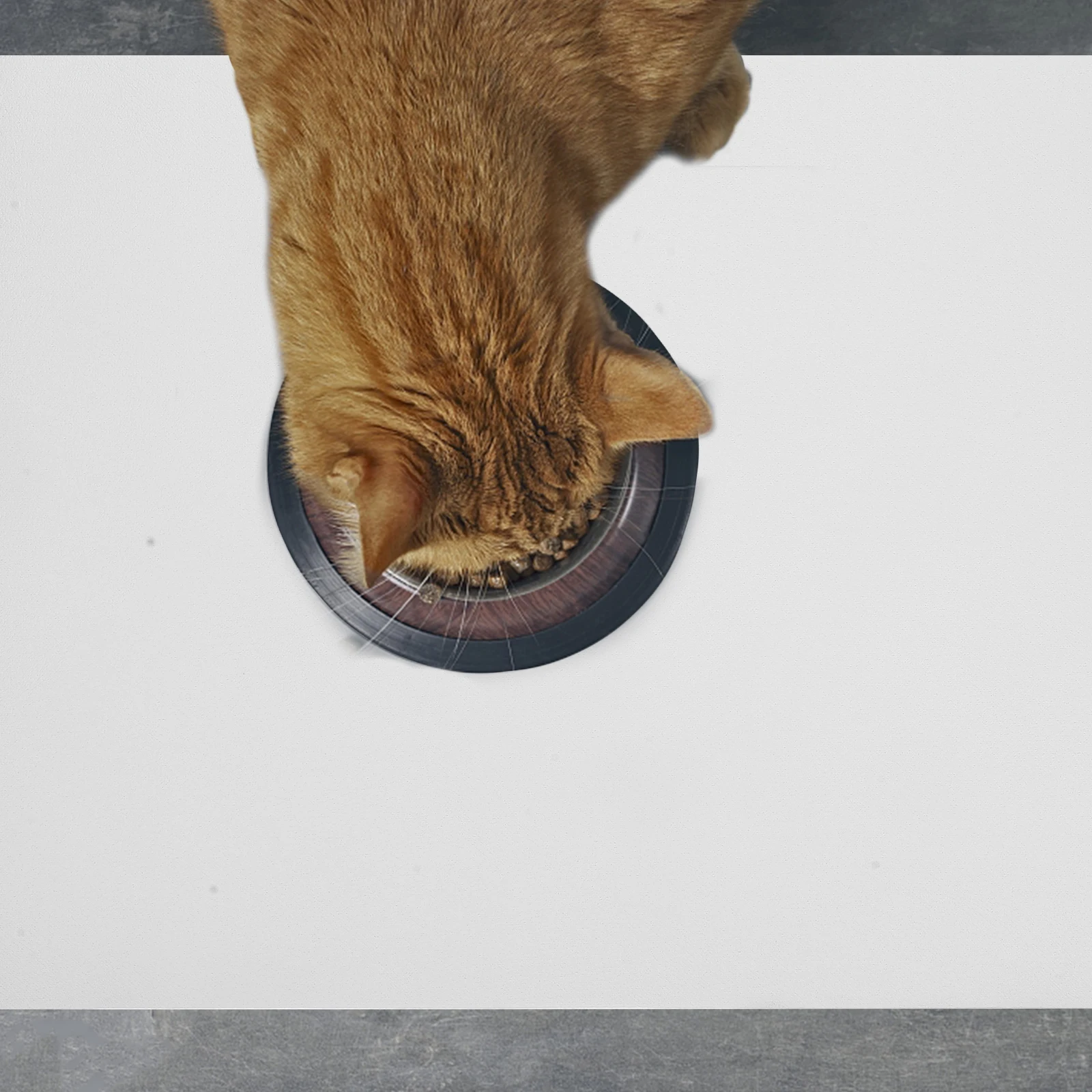 

Absorbent Pet Feeding Pad 30x40cm Water Proof Non Slip Mat for Dog Cat Food Bowls Placemats Easy Clean Indoor Outdoor Use