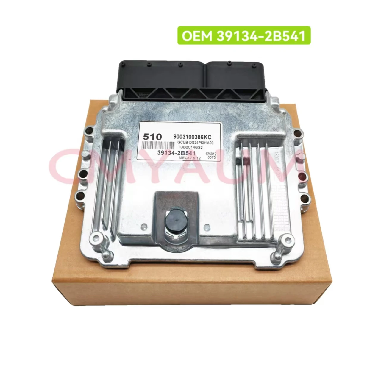 

OEM 39134-2B541 391342B541 Car Engine Computer Board ECU ECM 510 For Hyundai