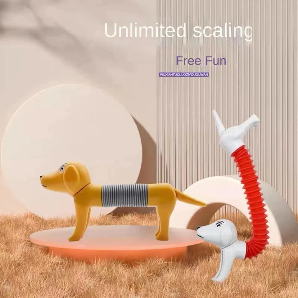 Boxgear Paquete de 5 tubos Pop Tubes de animales mixtos – Tubos de animales para niños pequeños – Lindos juguetes sensoriales de animales para niñas y niños – Alivio del estrés Boxgear Paquete de 5 tubos Pop Tubes de animales mixtos – Tubos de animales para niños pequeños – Lindos juguetes sensoriales de animales para niñas y niños – Alivio del estrés