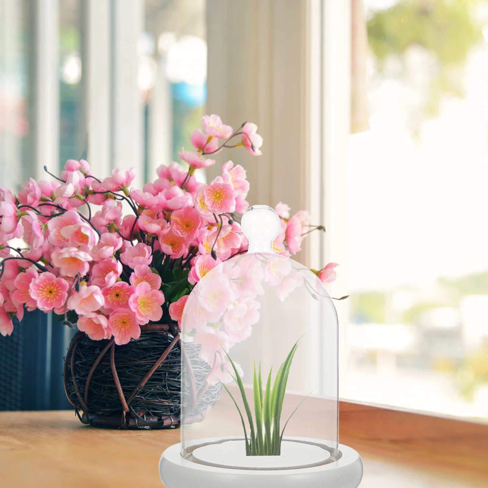 

Eternal Flower Glass Cover Preserved Flower Display Cloche Wedding Home Decor Cake Dessert Food Display Glass Decorative Cover