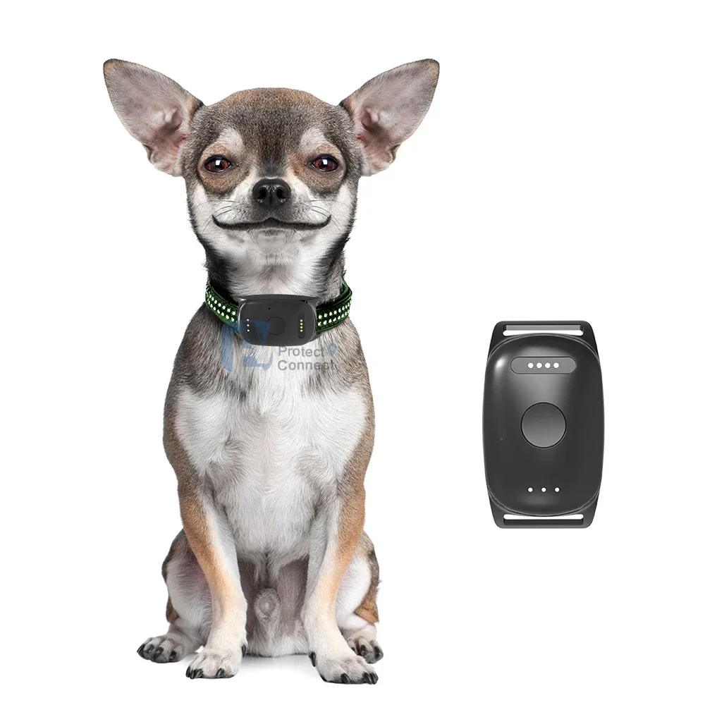 Whistle 3 Dog Cat Activity Monitor Waterproof GPS Tracker Dog Training Collar