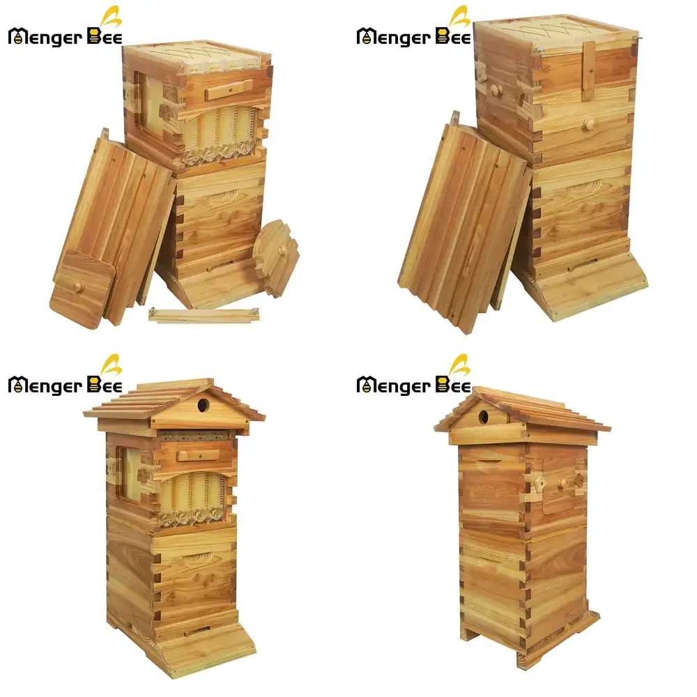2026 Hot Sale  Efficient Beekeeping Equipment Honey Auto Flow Bee Hive for Beginners 4pcs Frames Free Flowing Hive Kit for