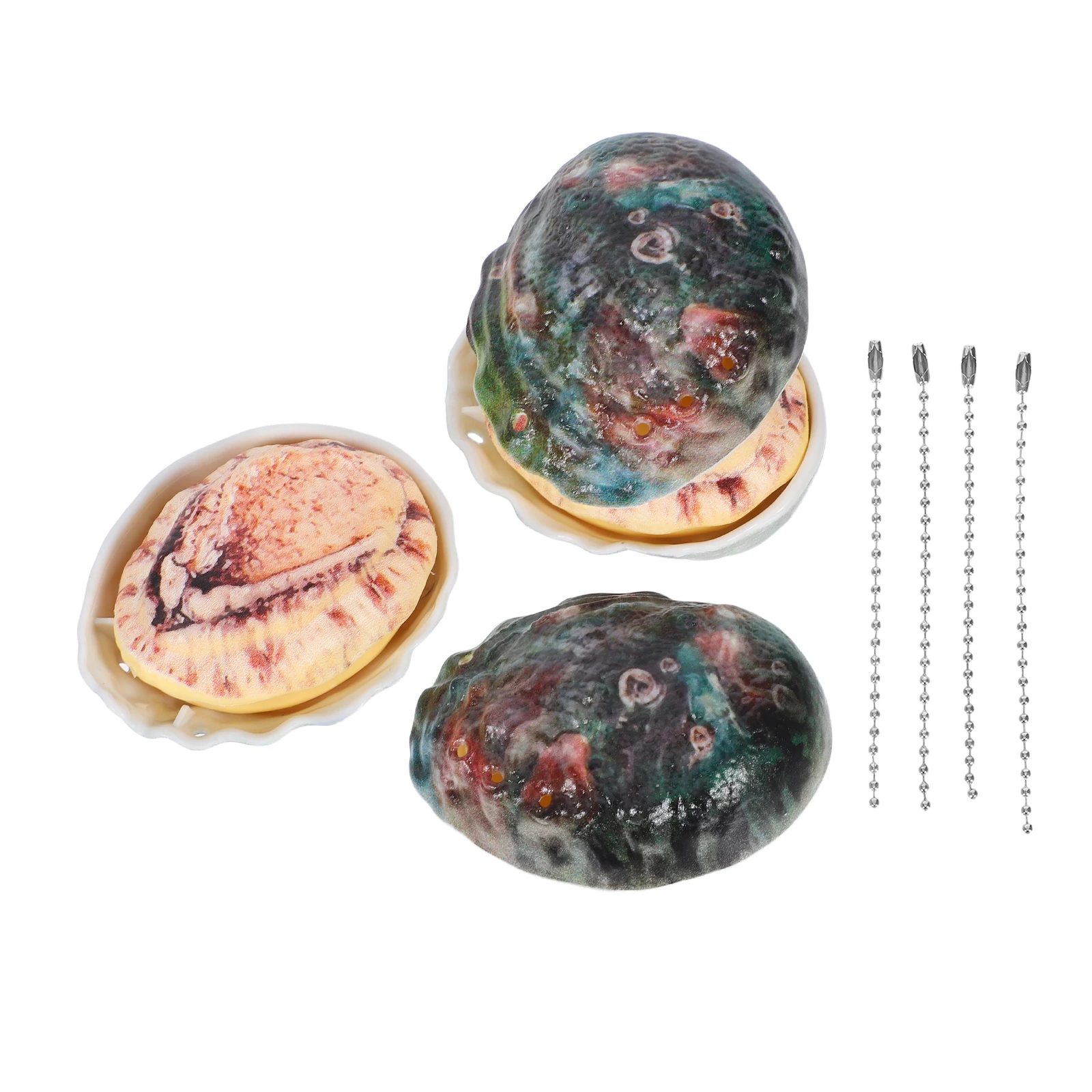 

4 Pcs Push Water Gun Abalone-themed Spraying Toy Absorb Squirters Shell Sprayer Plastic Child