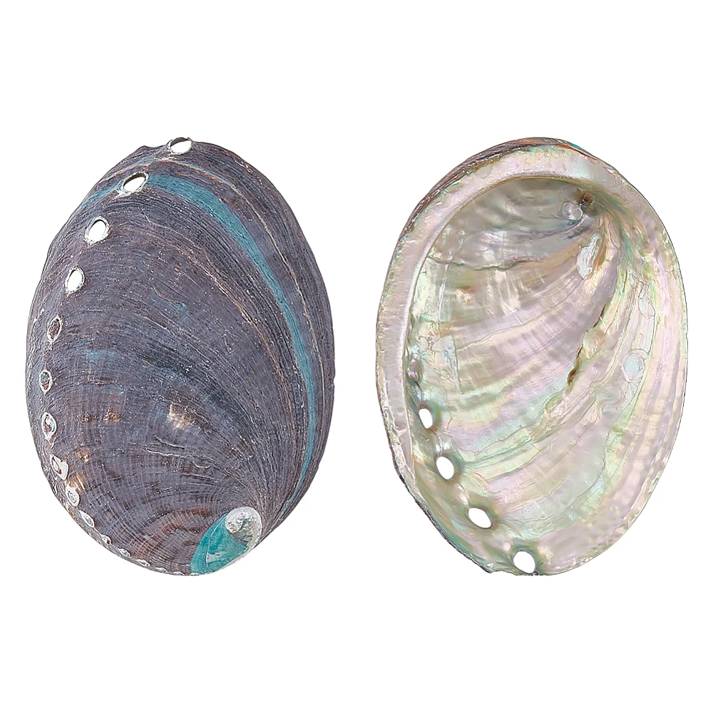 2-pecas-de-conchas-de-abalone-para-decoracao-de-casa-formato-de-concha-coloridas-116~117x84~85x22~25mm