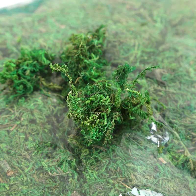 20/50/100g sztuczny mech Lichen symulacja Bryophyte zielona suszona trawa na ozdoby świąteczne strona główna kuchnia ślubna dekoracja krajobrazu